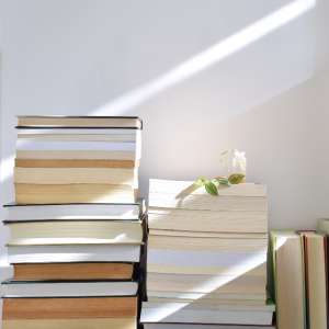 5 knjiga evropskih autorki knjige na gomili