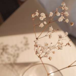 saosećajni zamor, vaza sa cvećem