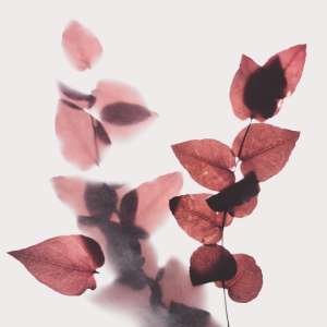 mentalna stabilnost i otpornost