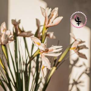 Nedeljni horoskop: 16. oktobar - 22. oktobar