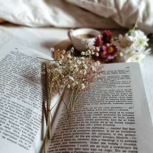 vodič kroz kulturna dešavanja za oktobar