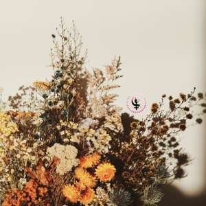 Nedeljni horoskop: 11. decembar - 17. decembar