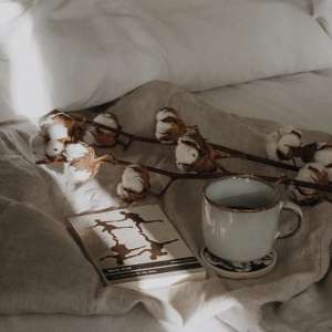 kriza srednjih godina