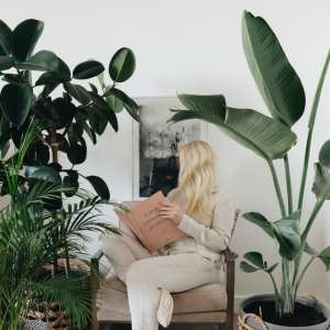 kulturna dešavanja za mart