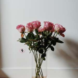 Nedeljni horoskop: 30. april - 6. maj