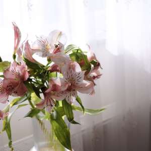 Nedeljni horoskop: 30. jul - 5. avgust