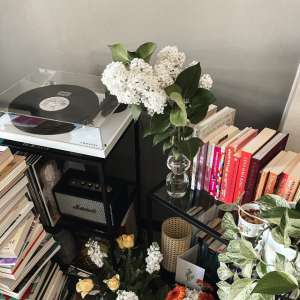 kulturna dešavanja za avgust 2023.