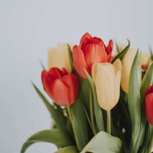 Nedeljni horoskop: 7. avgust - 13. avgust