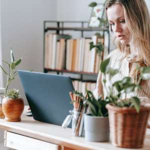 dekorativne sobne biljke