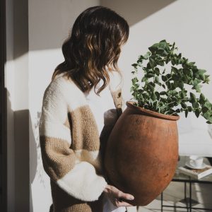 Klimakterični dnevnik: Moj vrabac i ja čekamo proleće