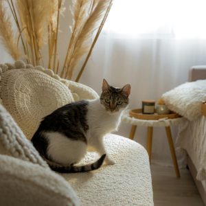 Klimakterični dnevnik: Nismo sami