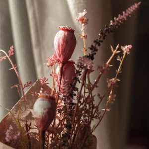 Nedeljni horoskop: 23. jun – 29. jun