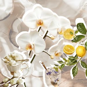 proces detoksikacije