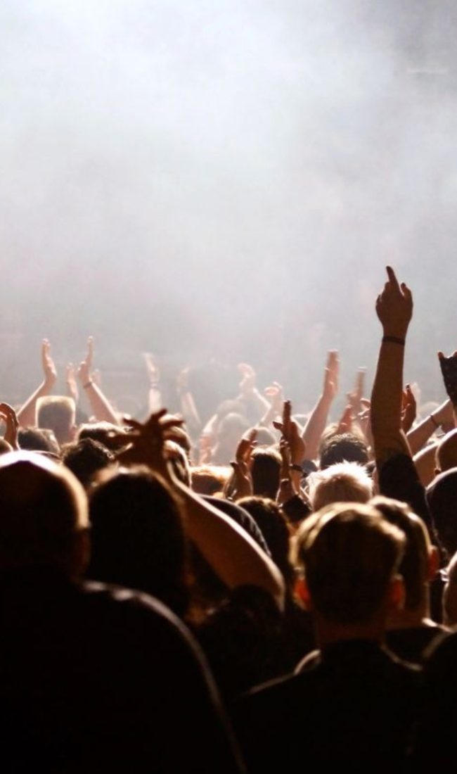 Koncert, žurka