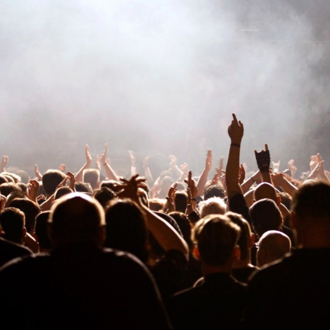 Koncert, žurka