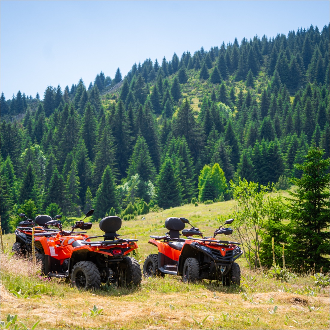 Kopaonik leti