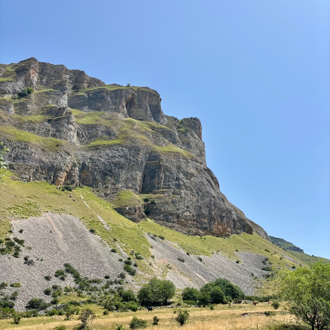 Šar planina leti