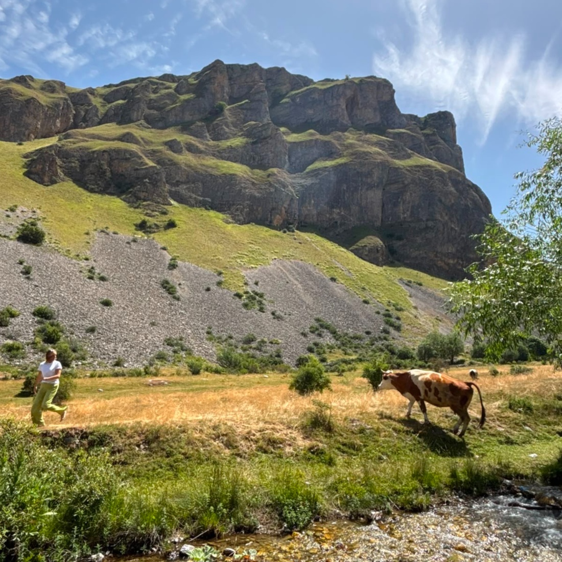 Šar planina leti