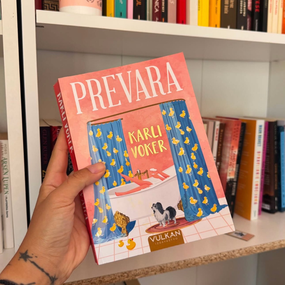 knjige za leto, prevara