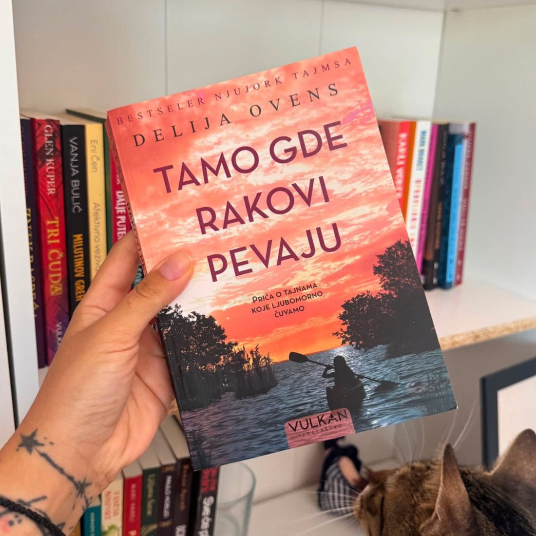 knjige za leto, tamo gde rakovi pevaju